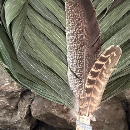 Commodore Palm Chakapa 25" Peach Fabric with Grey Cord