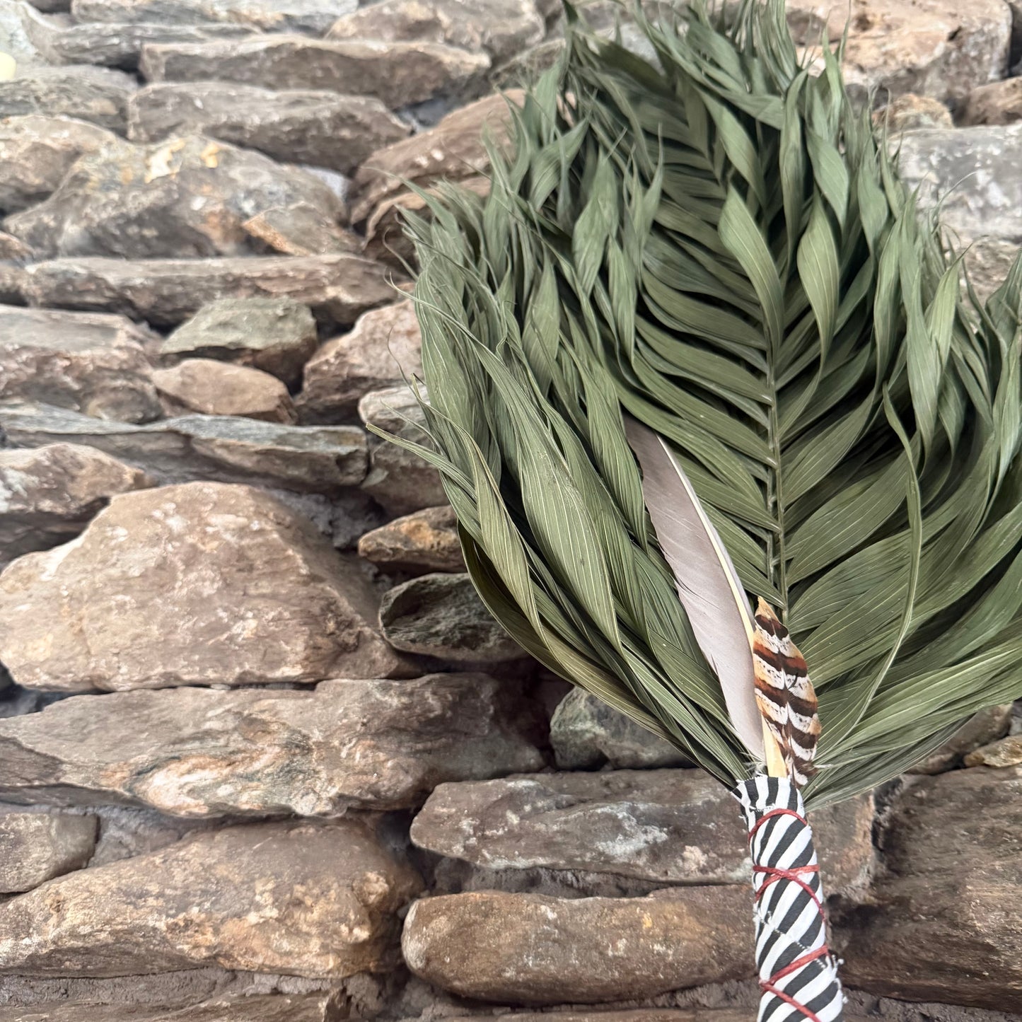 Commodore Palm Chakapa 25" Black & White Fabric with Maroon Cord