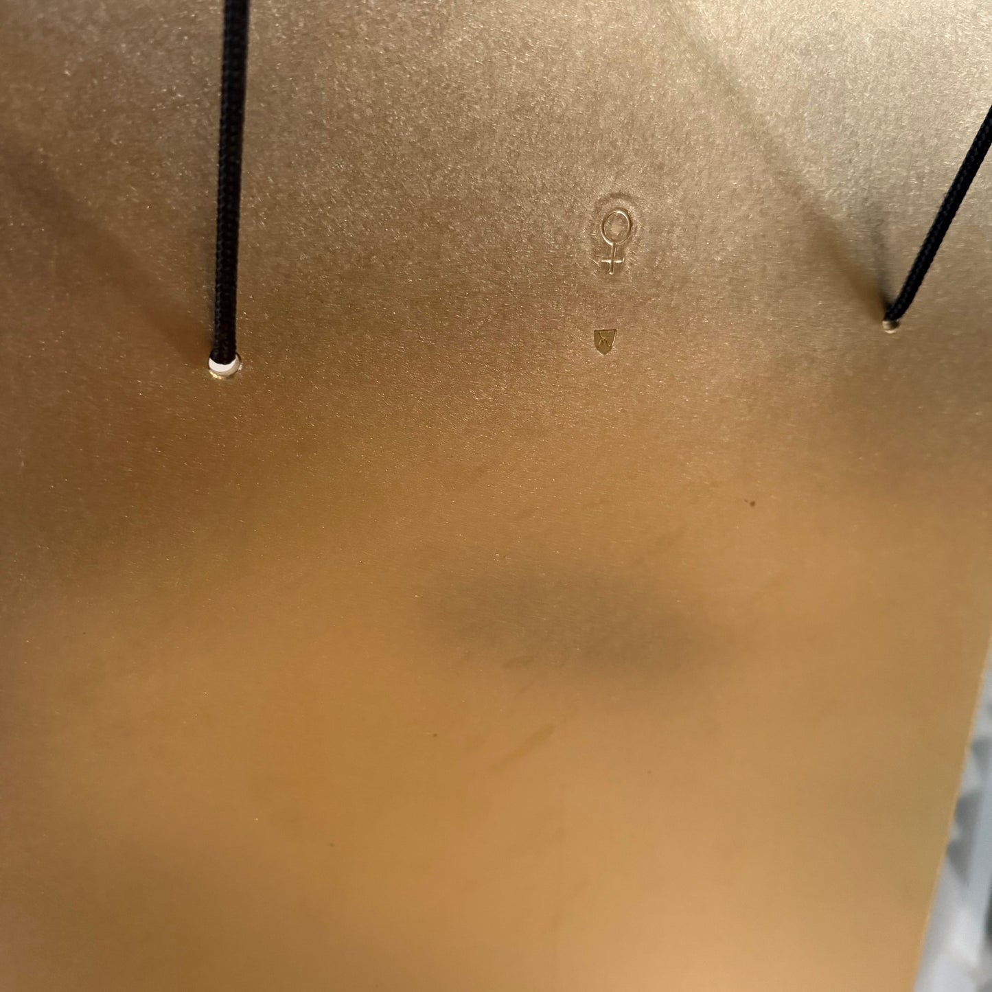 Venus Oblong Bass Gong Plate 221 Hz