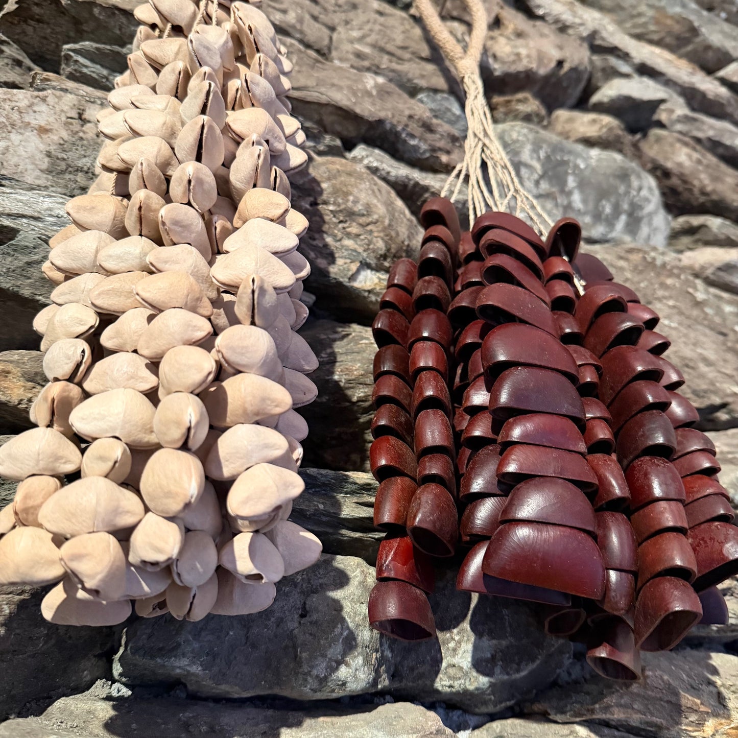 Extra Large Kenari and Bendo Seed Shakers