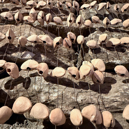 Large Frame Kenari Seed Rattle 168 Seeds on 20" Frame