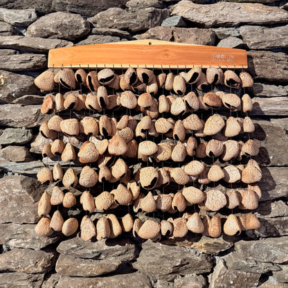 Large Frame Pangi Seed Rattle 168 Seeds on 20" Frame