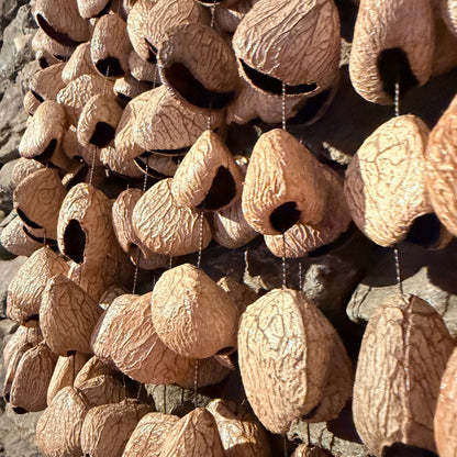 Large Frame Pangi Seed Rattle 168 Seeds on 20" Frame