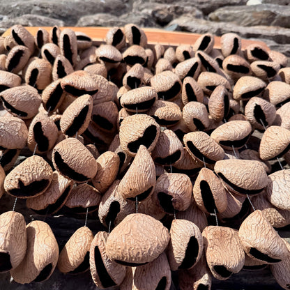 Large Frame Pangi Seed Rattle 168 Seeds on 20" Frame