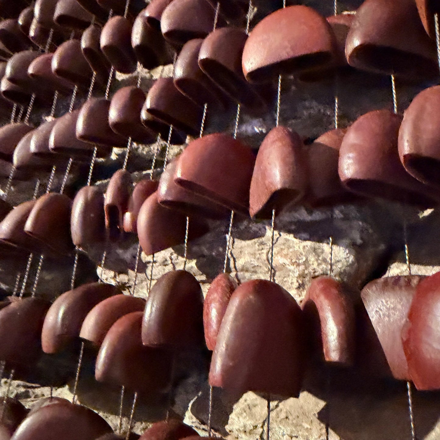 Large Frame Bendo Seed Rattle 168 Seeds on 20" Frame