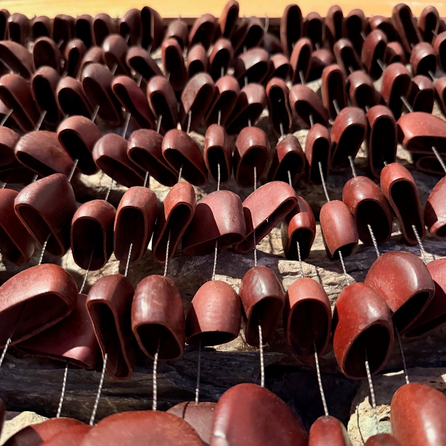 Large Frame Bendo Seed Rattle 168 Seeds on 20" Frame