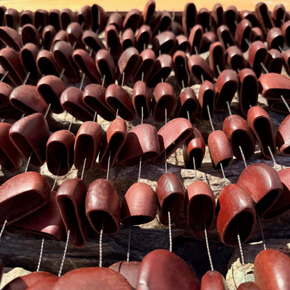 Large Frame Bendo Seed Rattle 168 Seeds on 20" Frame