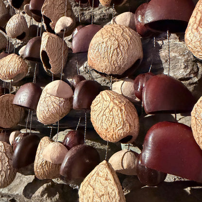 Large Frame Mixed Seed Rattle with Pangi, Kenari, Bendo, and Pala