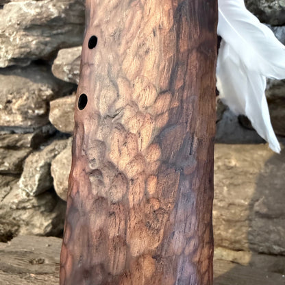 F-Aeolian Drone Flute 432Hz Teak Wood 22"