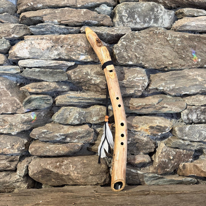 Acacia Branch 19" Forest Flute 528Hz
