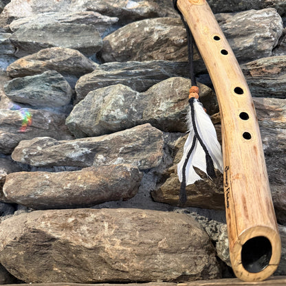 Acacia Branch 19" Forest Flute 528Hz