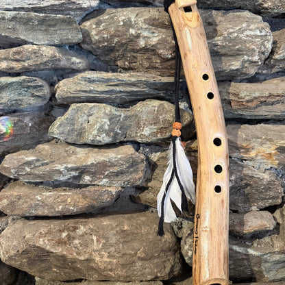 Acacia Branch 19" Forest Flute 528Hz