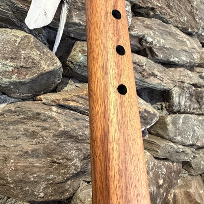 Acacia Branch 25" D-Minor Pentatonic 440Hz