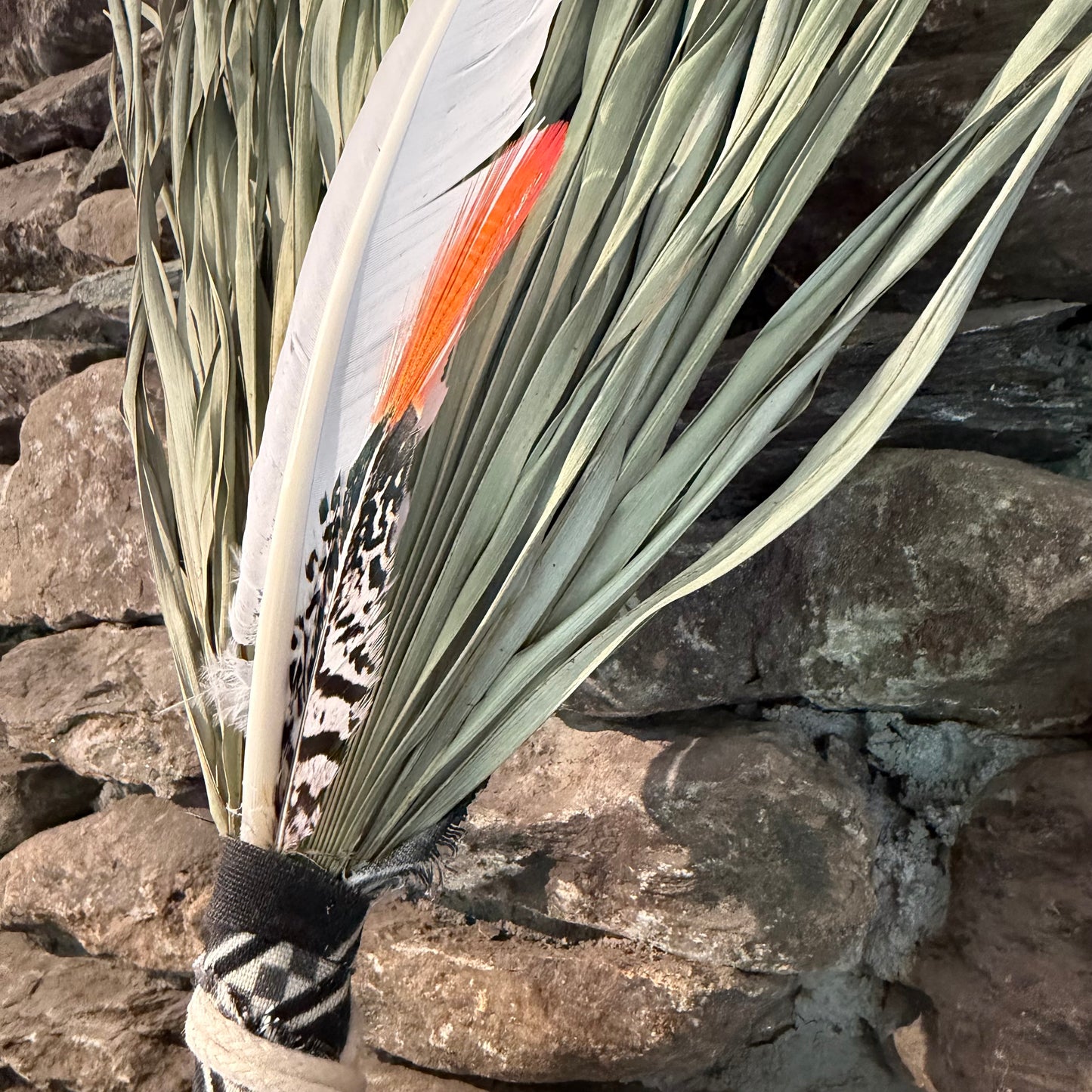 Fan Palm Chakapa 22" Black & White Canvas with Cream Cord