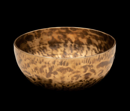 New Thadobati Singing Bowl G# 202Hz 8" N15989