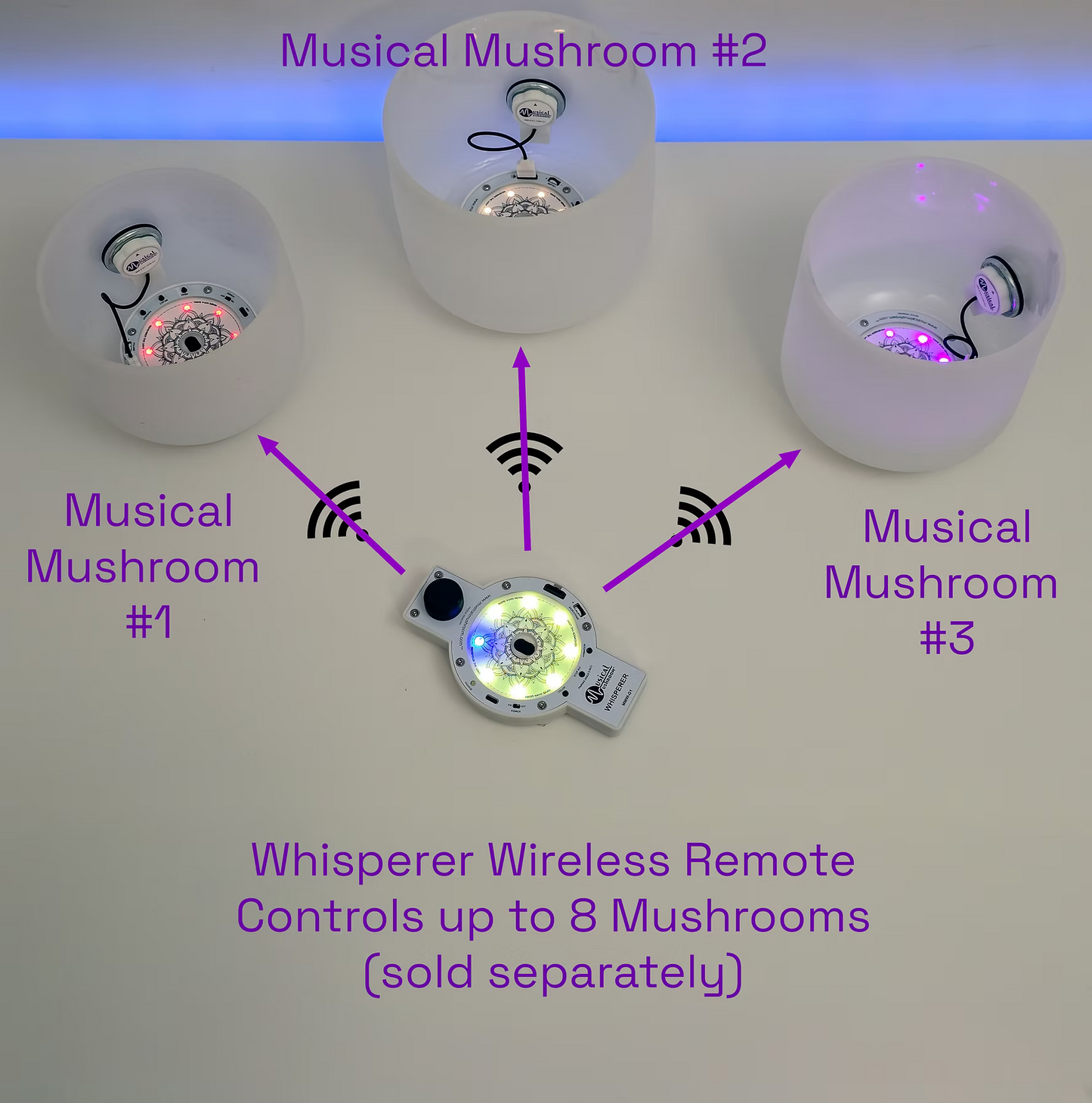 Musical Mushroom "Whisperer" Controller for up to 8 Units