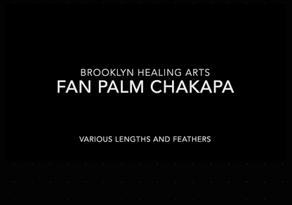 Fan Palm Chakapa 22" Black & White Canvas with Mustard Cord