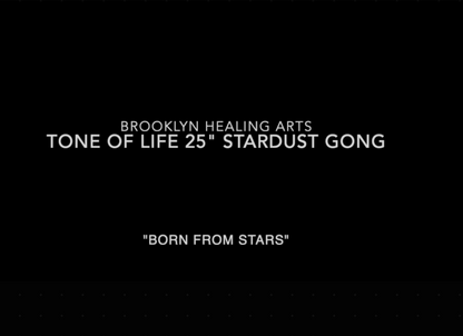 Tone of Life 25" Stardust Gong with Bag