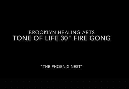 Tone of Life 30" Fire Gong with Bag
