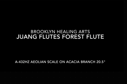 Forest Flute Acacia Branch A-Aeolian 432 20.5