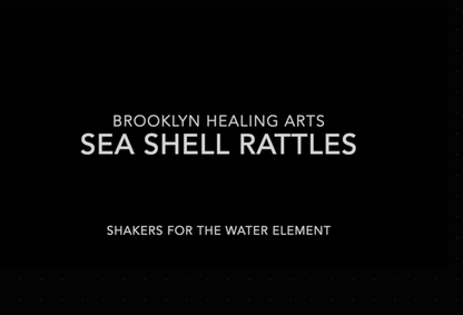 Set of (2) Sea Shell Rattles