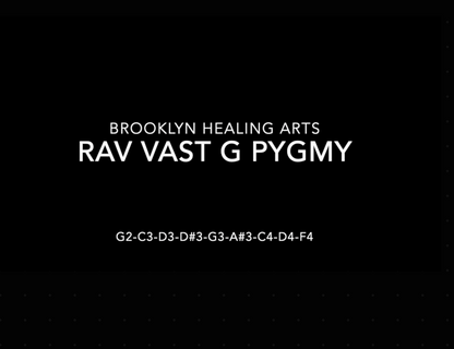 Rav Vast G-Pygmy Pan - Pre-Owned