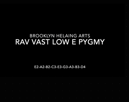 Rav Vast Low E-Pygmy Pan - Pre-Owned