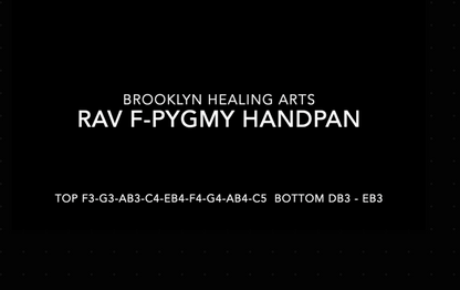 Rav Nitrided Steel Handpan F-Pygmy - Pre-Owned