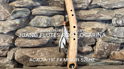 Acacia Branch 19" Forest Flute 528Hz