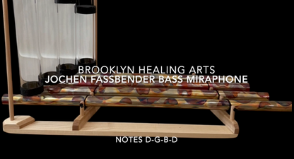 Jochen Fassbender Bass Mirpahone