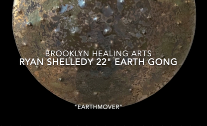 Ryan Shelledy 22" Earth Gong Nickel Silver "Earthmover"