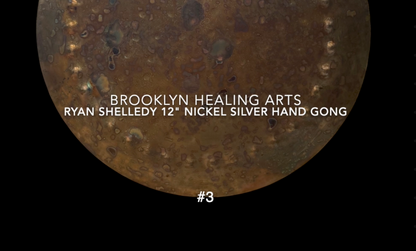 Ryan Shelledy 12" Nickel Silver Gong #3