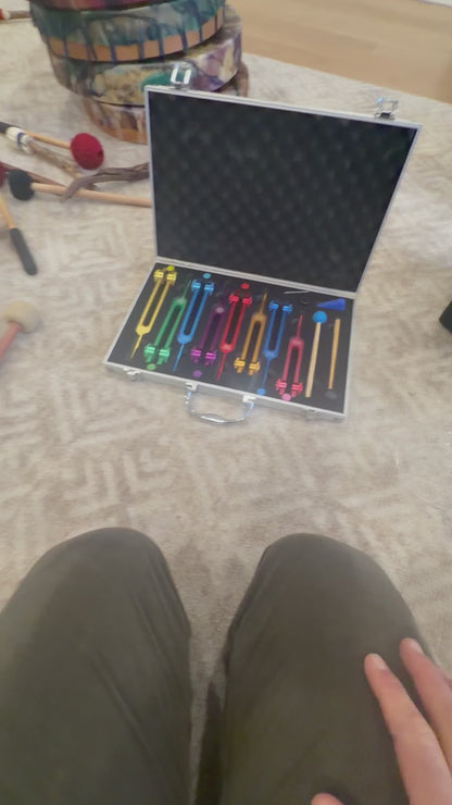 Set of Chakra Weighted Tuning Forks with Case and Strikers