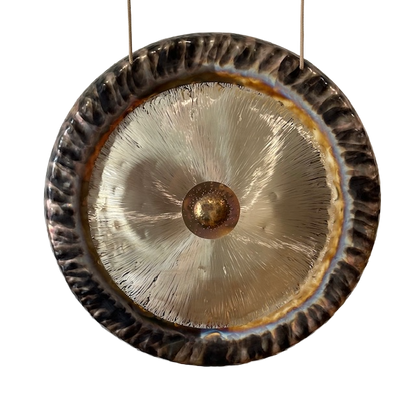 Tone of Life 25" Stardust Gong with Bag