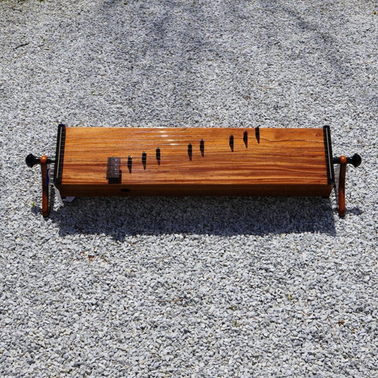 Svaram Double Sided Monochord with Tampura and Santoor